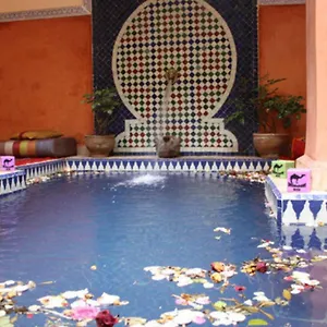 Le Dromadaire Bleu By Weekome Marrakesh